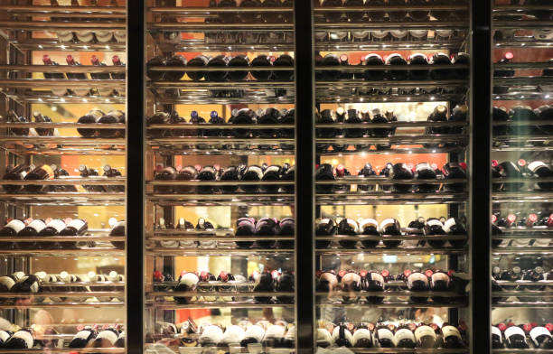 How-to-Take-Care-of-The-Best-Wine-Fridges-for-Maximum-Longevity-and-Performance